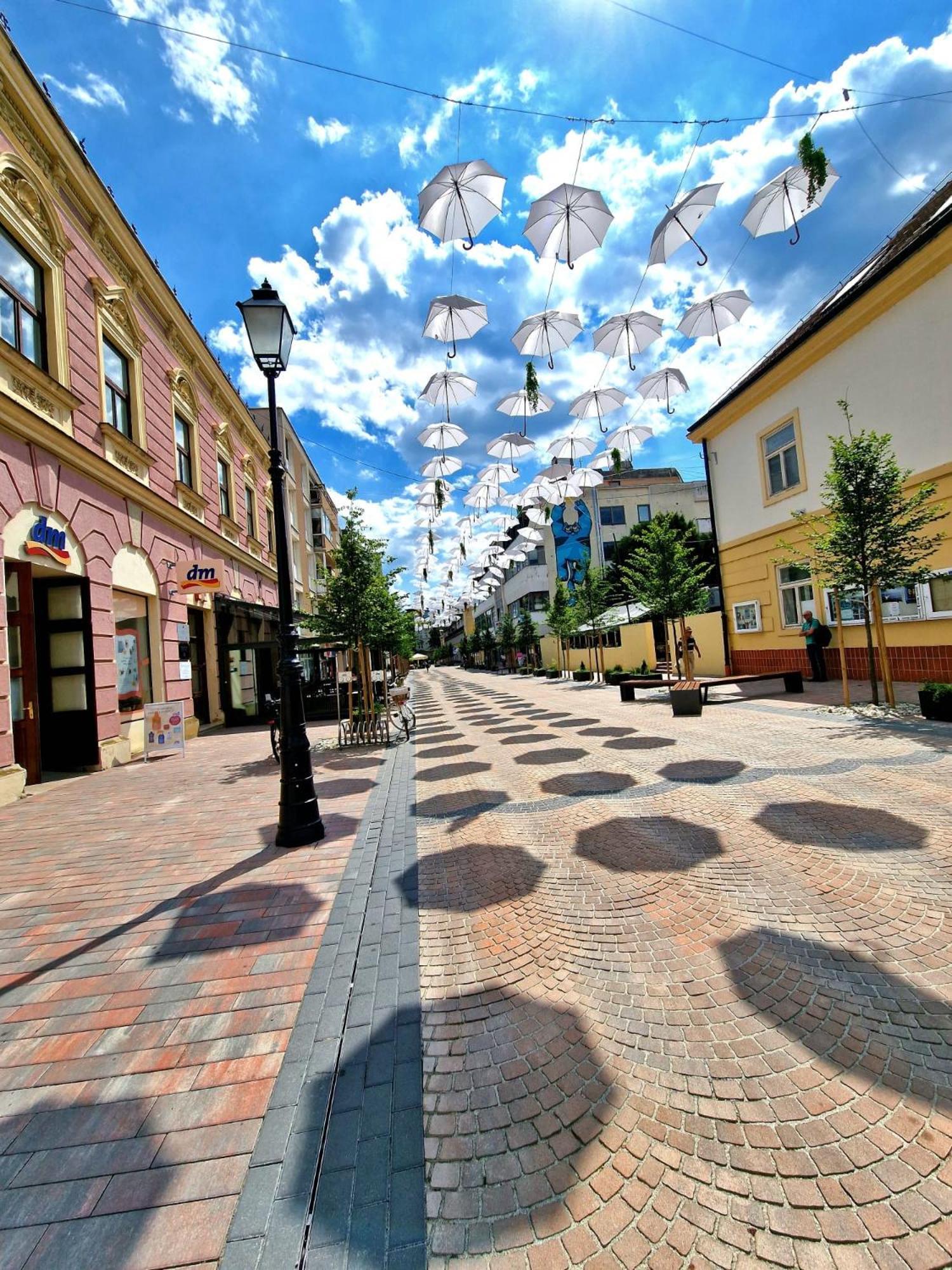 Studio Apartman Varadero Бьеловар Экстерьер фото